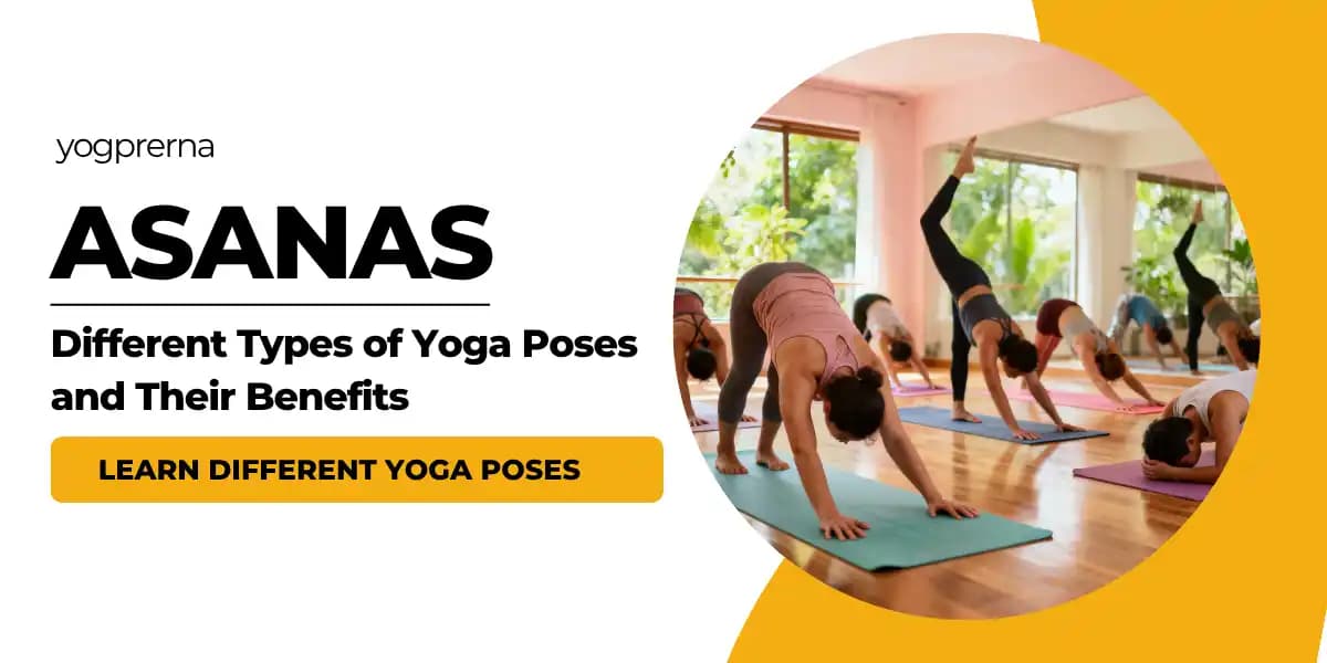 Asanas: Different Types of Yoga Asanas | Yoga Poses