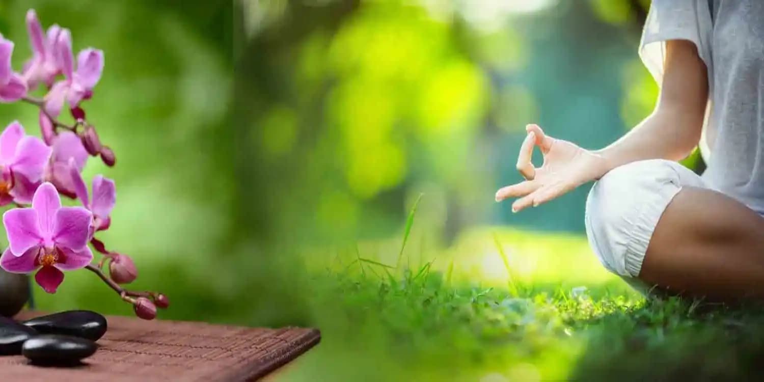 Santhi Yoga School Featured