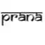 Prana Vashya Yoga Shala Logo