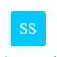 Shine Studio Logo