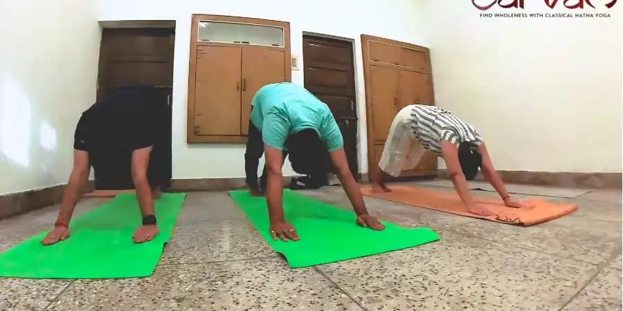 Sarvam Hatha Yoga Featured