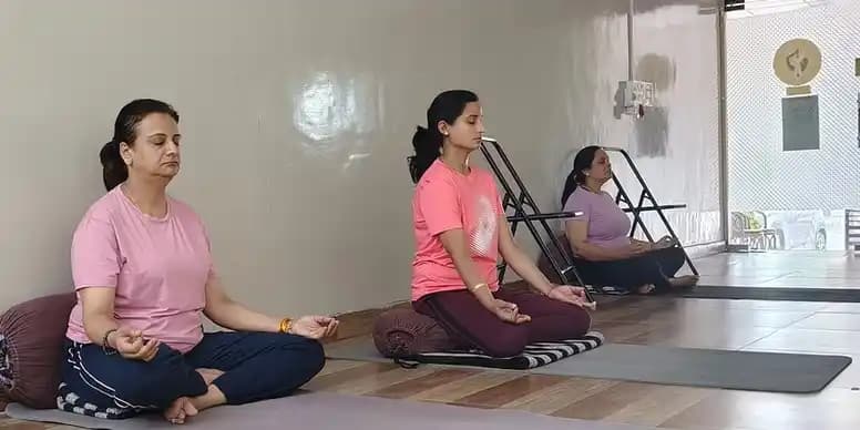 Yogadhara Wellness Featured