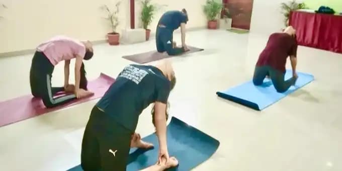 Rooftop Yoga Featured