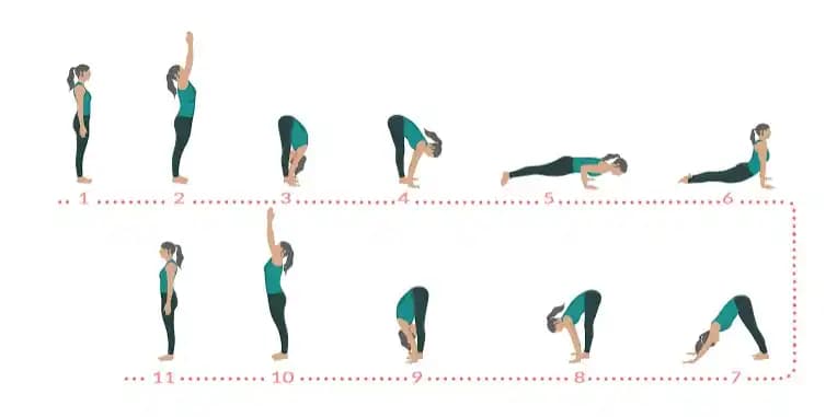 Sun Salutation