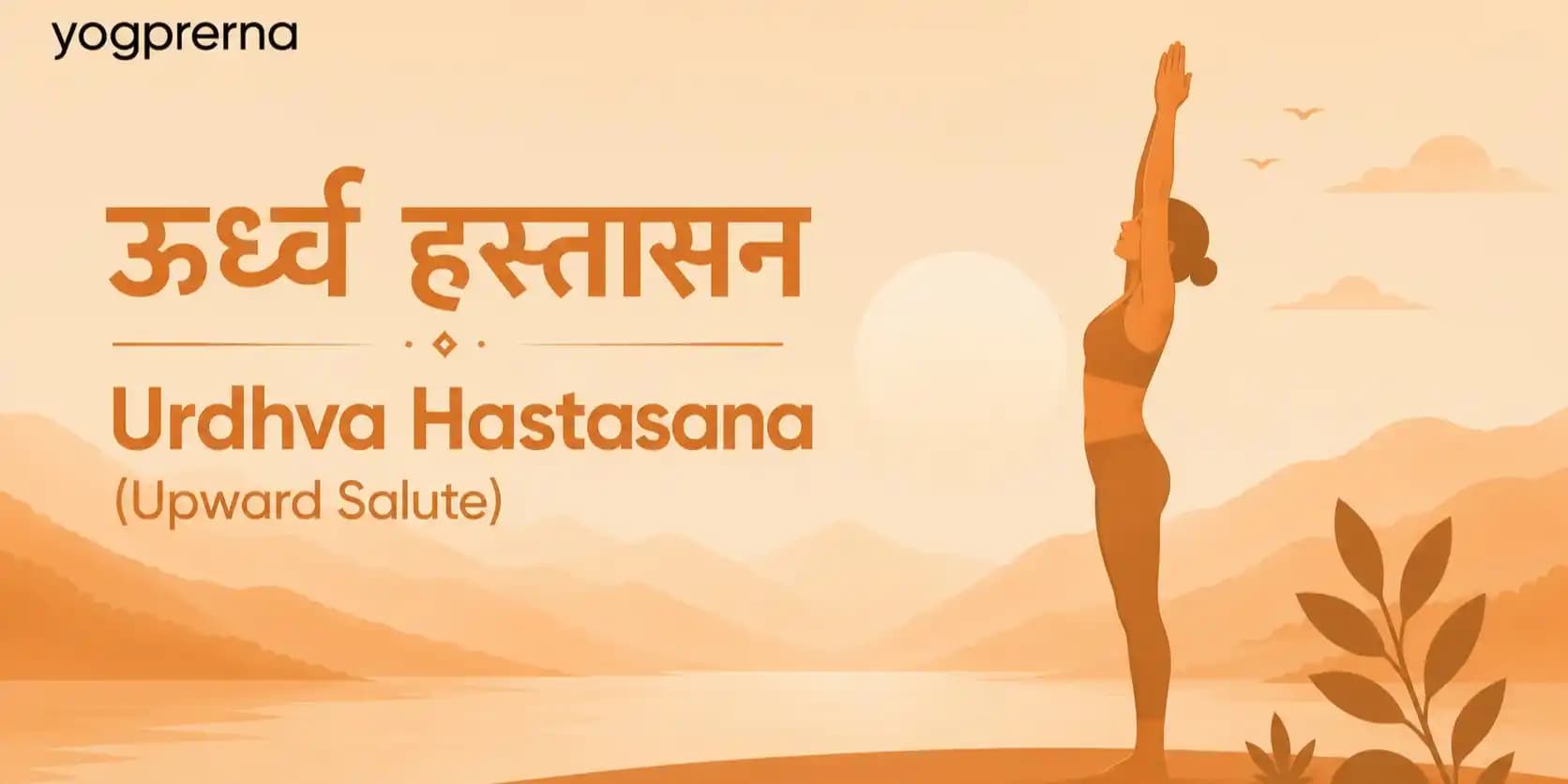 Enhances posture and spinal mobility.